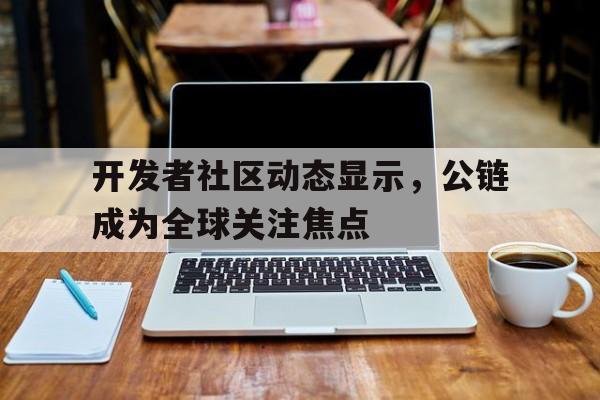 官方下载地址开发者社区动态显示，公链成为全球关注焦点的简单介绍